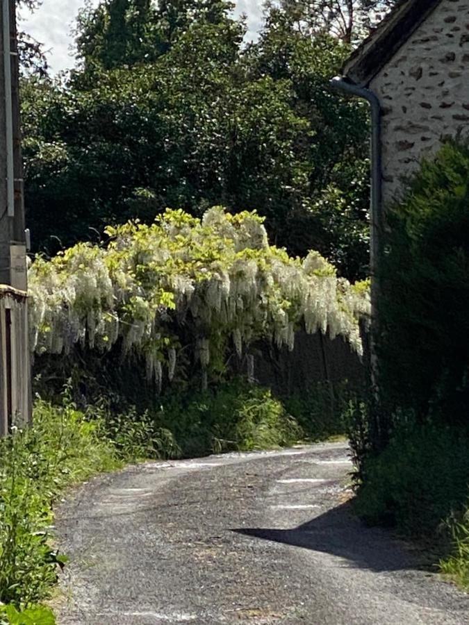 לינה וארוחת בוקר Saint Cyr-sous-Dourdan Le Moulin Bleu מראה חיצוני תמונה